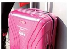 Luggage example from the SAFE cylinder-bed machine catalogue